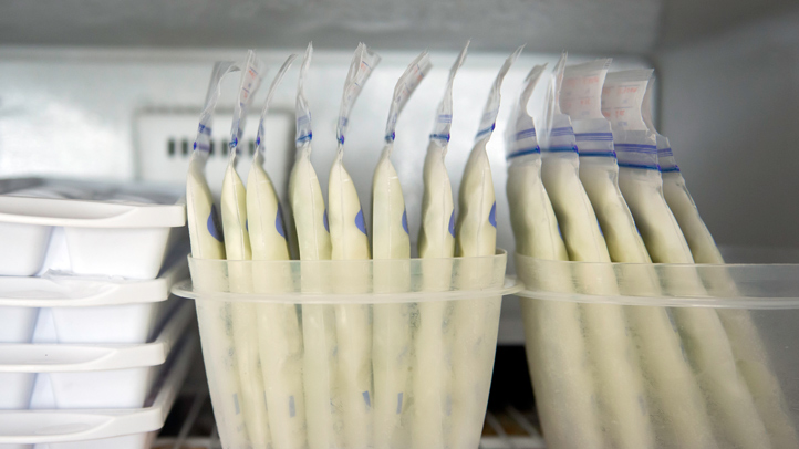 Frozen breast milk ready for freeze-drying in Utah County